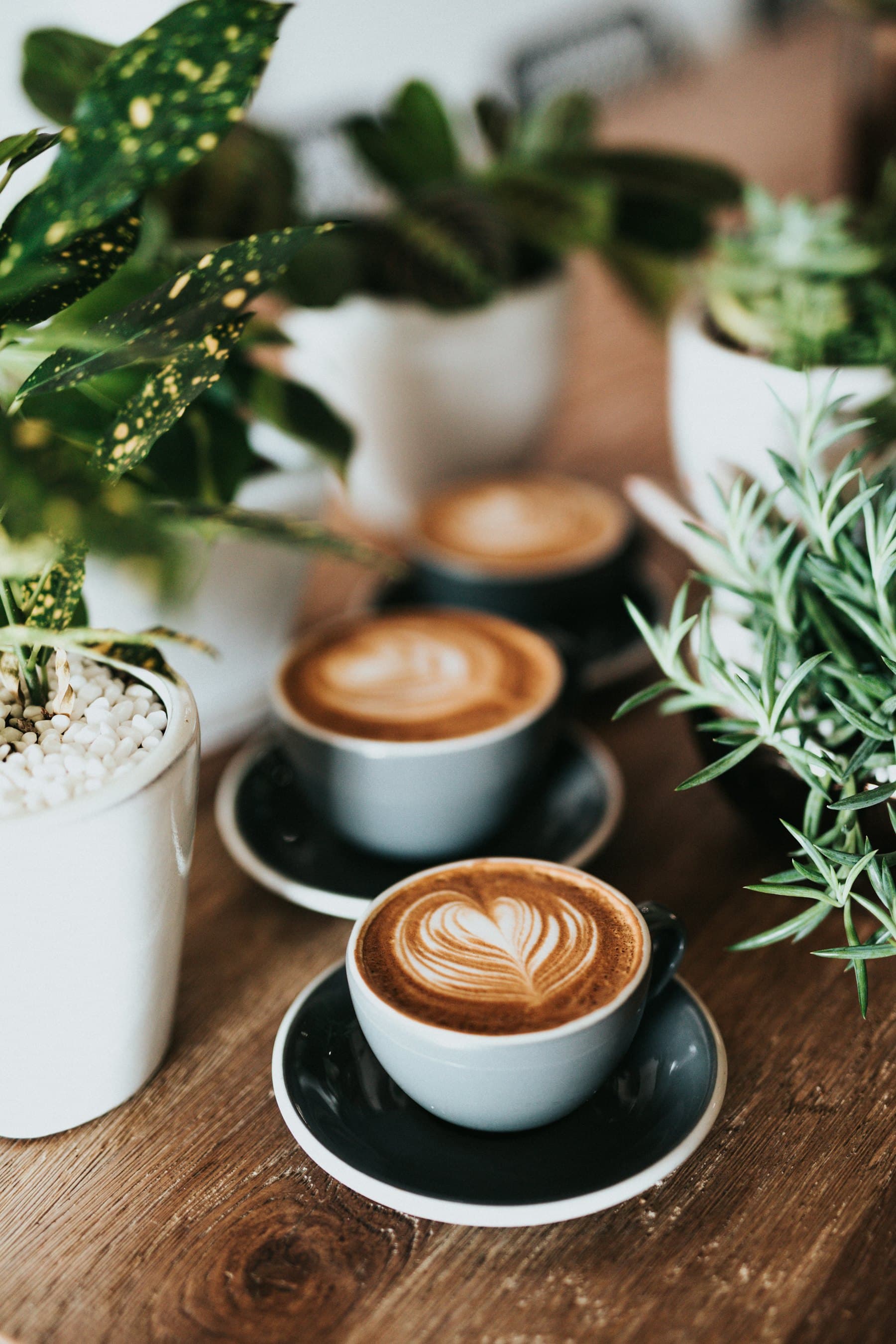 Two cups of latte with foam art on a wooden café table beside potted plants