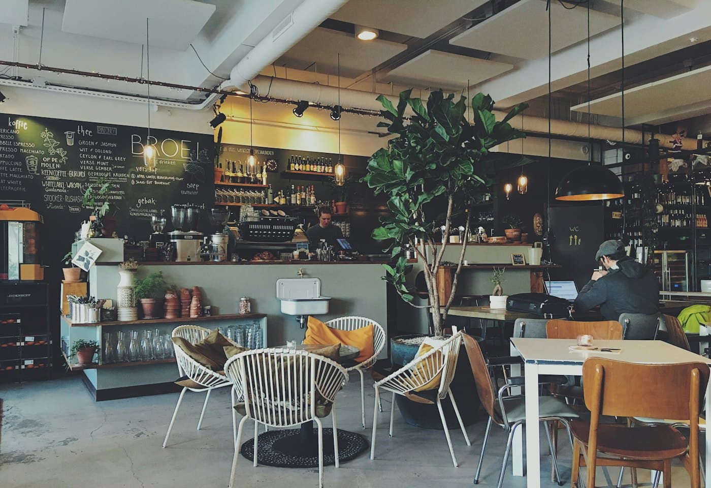 Café interior with plants, wooden tables and soft daylight